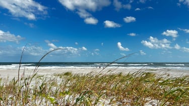 Amelia Island beach