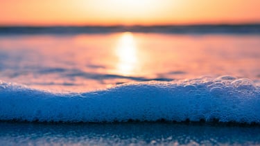  Fort Lauderdale beach
