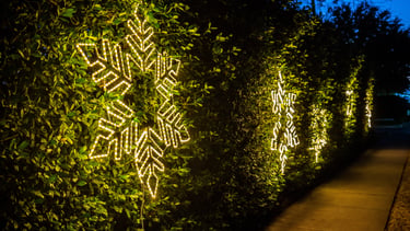 Illuminated snowflake Christmas decorations glow brightly on dark a hedge lining a HOA sidewalk