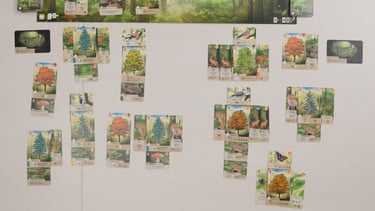 Žaidimo kortų išdėstymas žaidimo pabaigoje