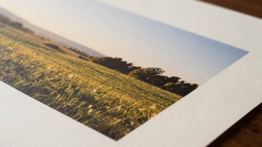 A close-up of a finished print featuring a sun-drenched landscape, the ink sitting slightly raised on high-quality cream paper with a soft texture.