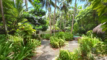 Niyama Maldives spa