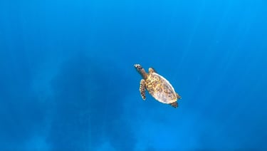 Six Senses Laamu Maldives house reef