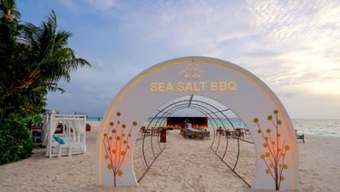 Ayada Maldives sea salt bbq dinner
