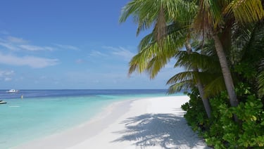 kudadoo maldives beach