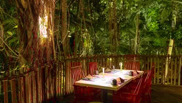 Niyama Maldives nest restaurant