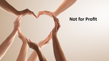 Not-for-Profit Industry expertise