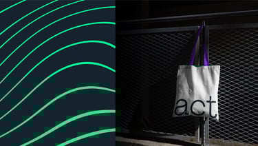 bolsa