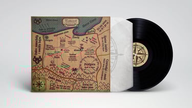 Paniczyk vinyl album in the sleeve