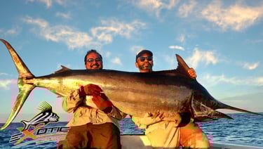 2 men holding a huge marlin fish
