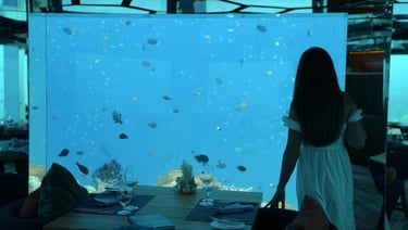 anantara kihavah sea underwater restaurant