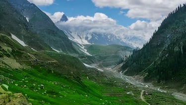 a mountain scene with a cow grazing in the grass near lake saif ul malook