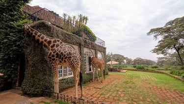 Giraffe Manor, Kenya