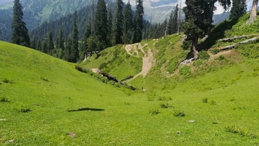 Lush green view from miranjani top 