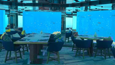 anantara kihavah maldives sea underwater restaurant