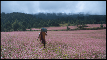 Vienuolis ir ginklas