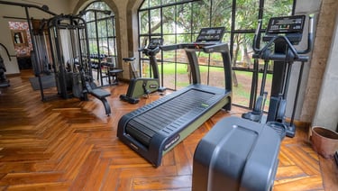 Giraffe Manor Kenya gym