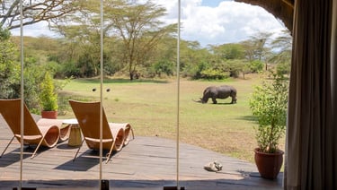 Solio Lodge Kenya room with rhino view