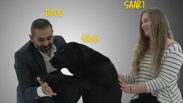 Dave Chauhan's life with his wife Saari and his dog - Seve as a family.