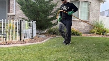 Lawn Fertilizer and Weed Control Company