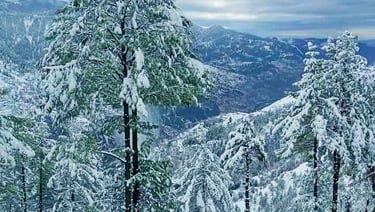 Snowfall picture taken from thandiani