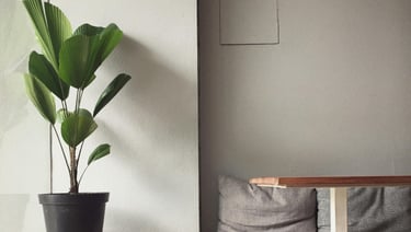 appartement contemporain