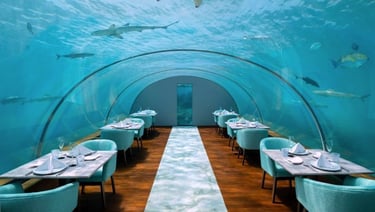 conrad maldives ithaa undersea restaurant