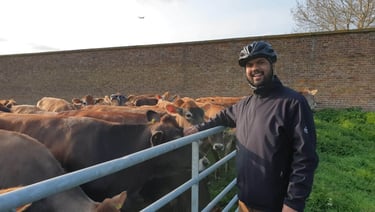 A smiling cyclist in a helmet standing by a metal fence petting Jersey cows on a rural farm.