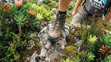 Hiking on the Garden Route as part of a strength training holiday.