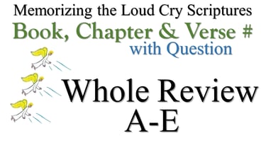 A-E Book, Chapter & Verse # Whole Review with Question