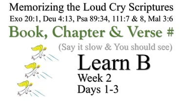 Learn B (Days 1-3)