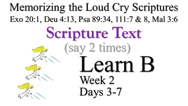 Learn B (Days 3-7)