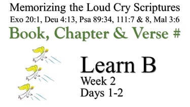 Learn B (Days 1-2)