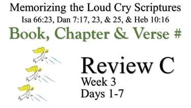 Review C (Days 1-7)