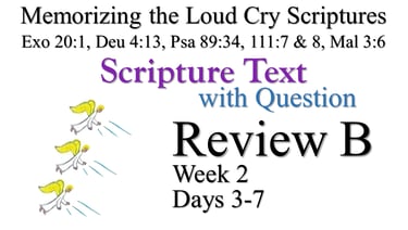 Review B (Days 3-7) with Q