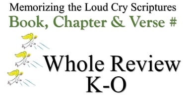 K-O Book, Chapter & Verse # Whole Review