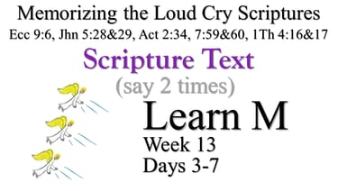 2x Learn M (Days 3-7)