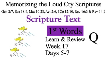 1st Words Learn & Review Q (Days 5-7)