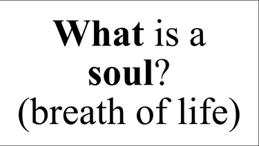 Genesis 2:7 Say question
