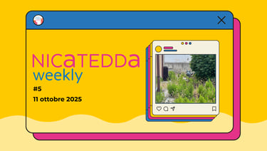 copertina newsletter settimanale di alex borsci consigliere comunale a monteparano nicatedda weekly