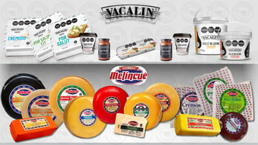 Distribuidor de lácteos Vacalin- Venta mayorista Melincué