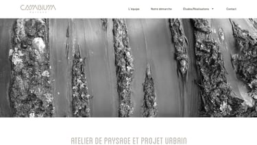 Cambium Paysage