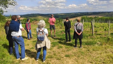 Explanations by the winemaker between the vines