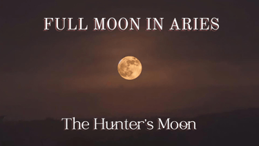 Known as the Hunter’s Moon, this lunar event ignites our inner warrior, awakens our wild instincts, 
