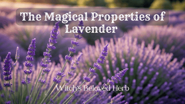 the magical properties of lavender