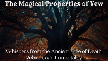 The Magical Properties of Yew