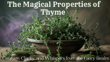  The Magical Properties of Thyme — Courage, Clarity, and Whispers from the Faery Realm