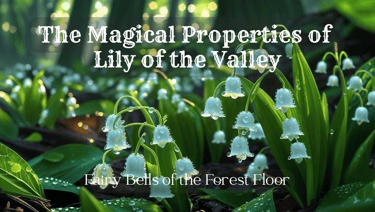 the magical properties of lily of the valley