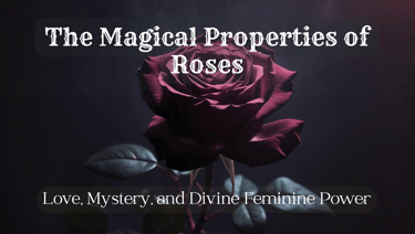 the magical properties of roses