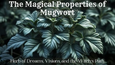 Herb of Dreams, Visions, and the Witch's Path